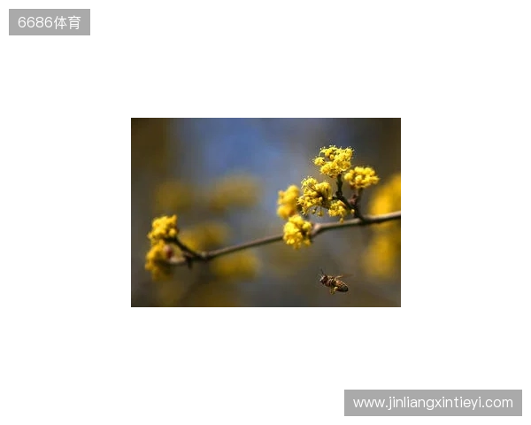 布达佩斯Major第一阶段：战舰轰鸣！FaZe 2-1 RED Canids